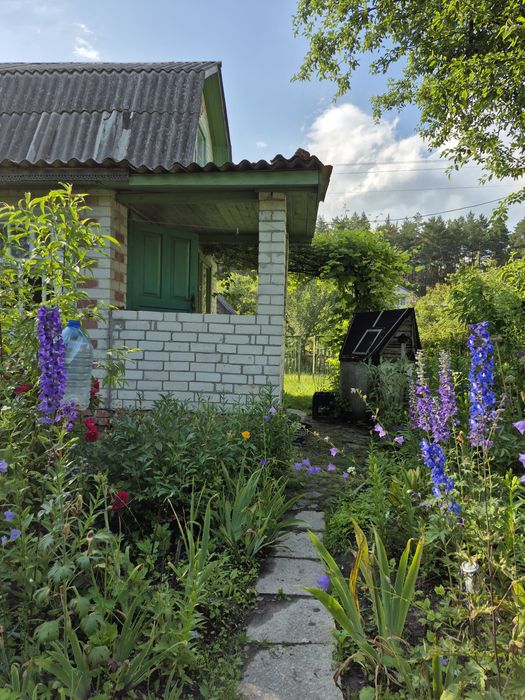 Дача в Деснянці с/т Ювілейне