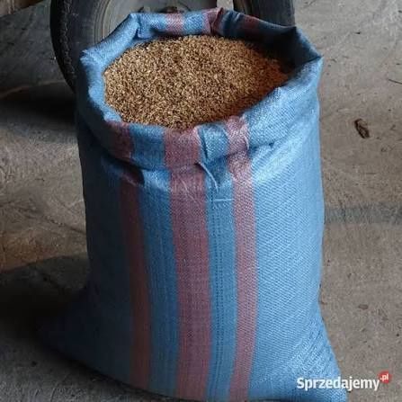 Sprzedam pszenica  , owies