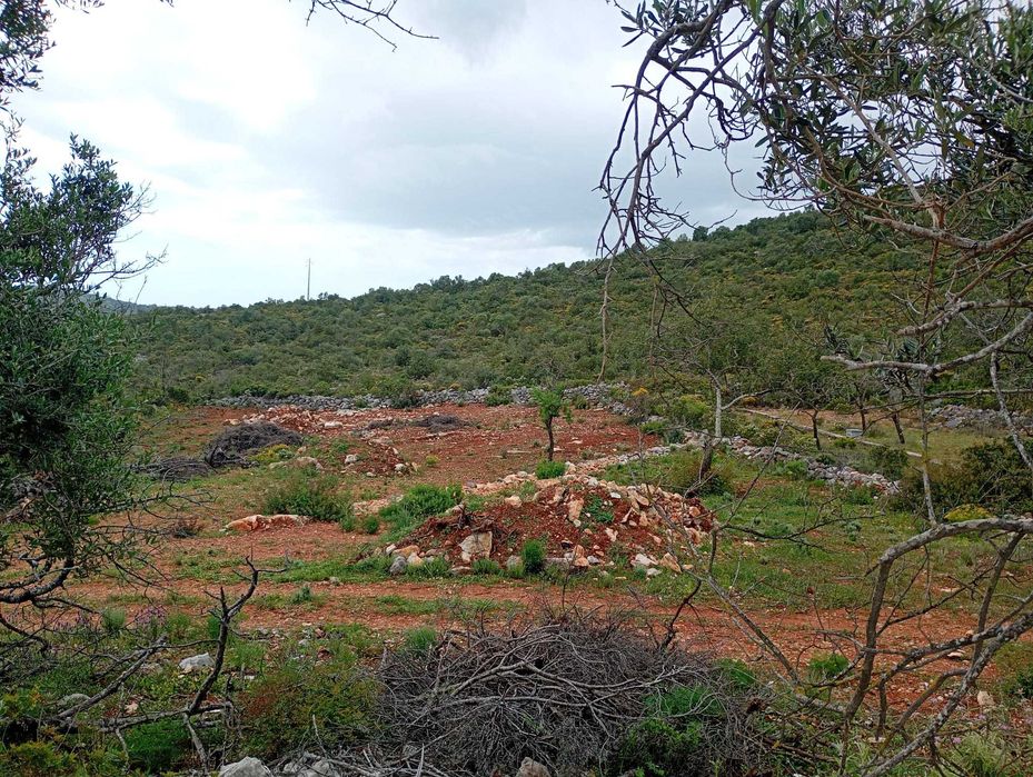 Terrenos Rústicos em Vale Judeu — Quarteira, Faro