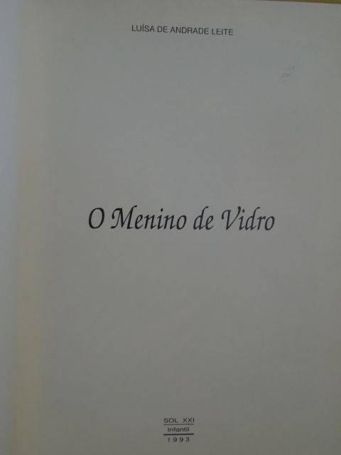 O Menino de Vidro de Luísa de Andrade Leite