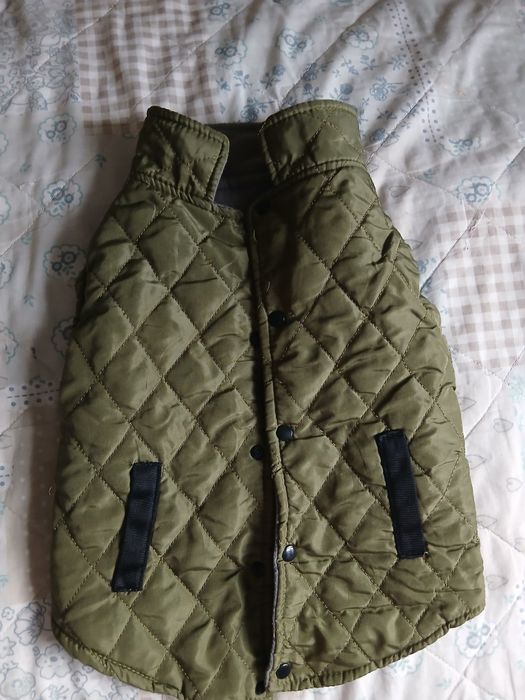 Одежда для собак