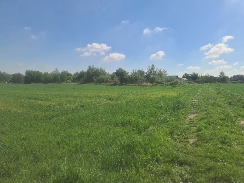 Piękna działka budowlano-rolna. Bezterminowe WZ. Miejsce na siedlisko Niedaleko Oświęcim, Zator. Las. - Widok 4