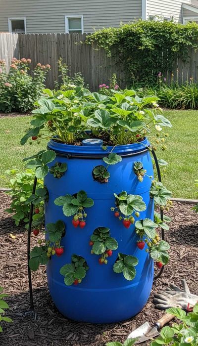 Beczka na wodę deszczówkę zboże kukurydzę, kompost, filtr