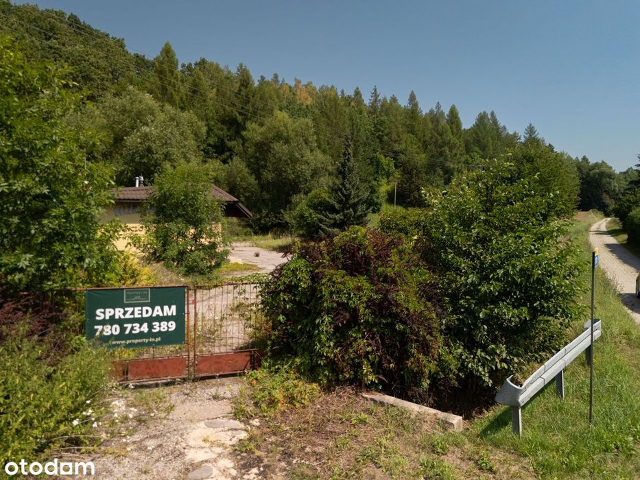 Zdjęcie 4