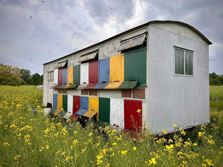 Sprzedam pasiekę - Wóz pszczelarski wraz z ulami i rodzinami