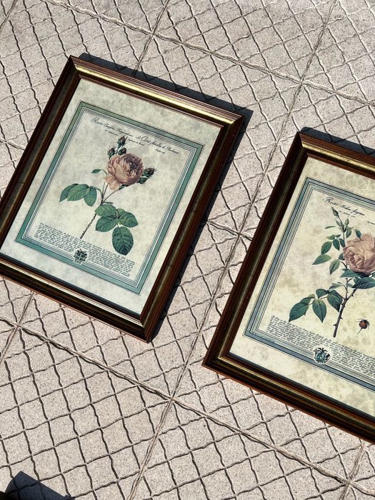 Quadros botânicos vintage – Pierre-Joseph Redouté