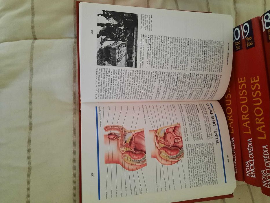 Enciclopedia Larousse64285644927362122