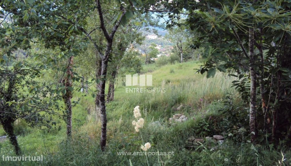 Land for Sale, Sande, Marco de Canaveses