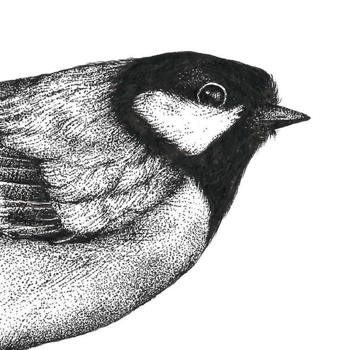 Explicações/Aulas Desenho