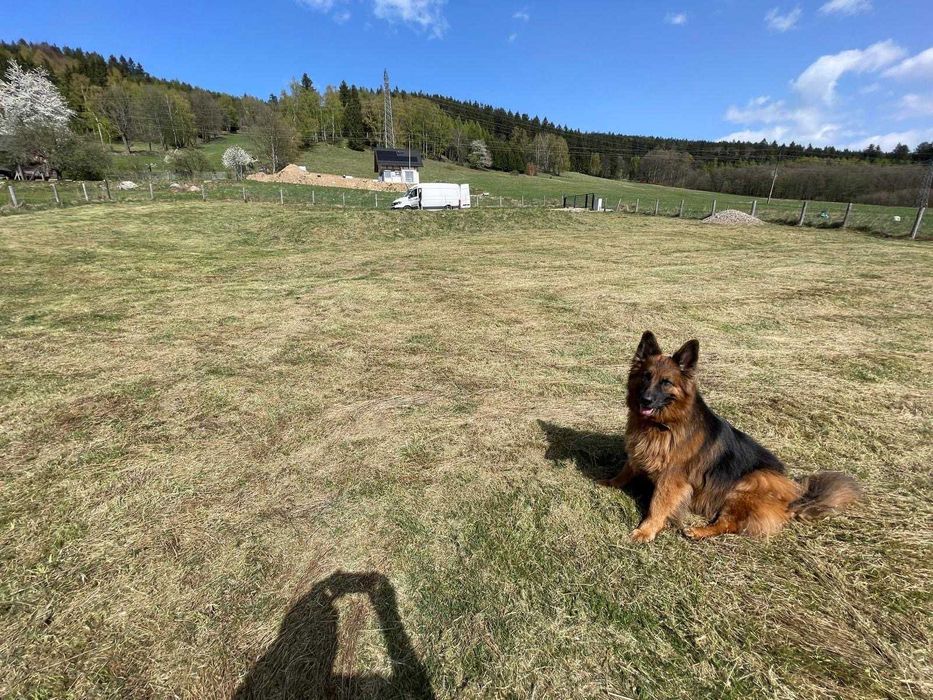 Sprzedam piękną działkę widokową w Górach Sowich