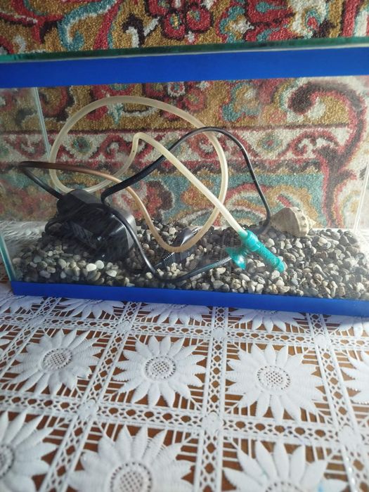 Продам акваріум на 5 літрів з ареатором