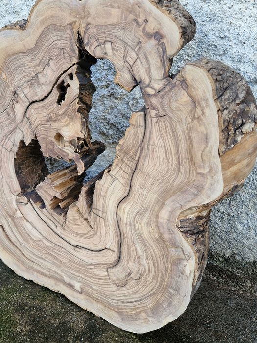 Grande Rodela de Oliveira, madeira maciça, lixada e aplainada