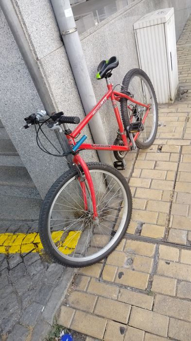 Bicicleta de adulto