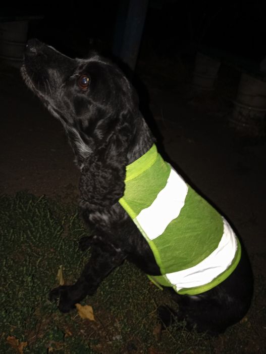 Жилетка светоотражающая