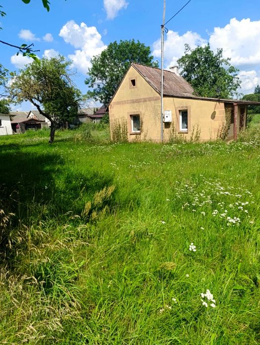 Sprzedam siedlisko – 0,94 ha – Kuskowo Glinki , (okolice Strzegowa)