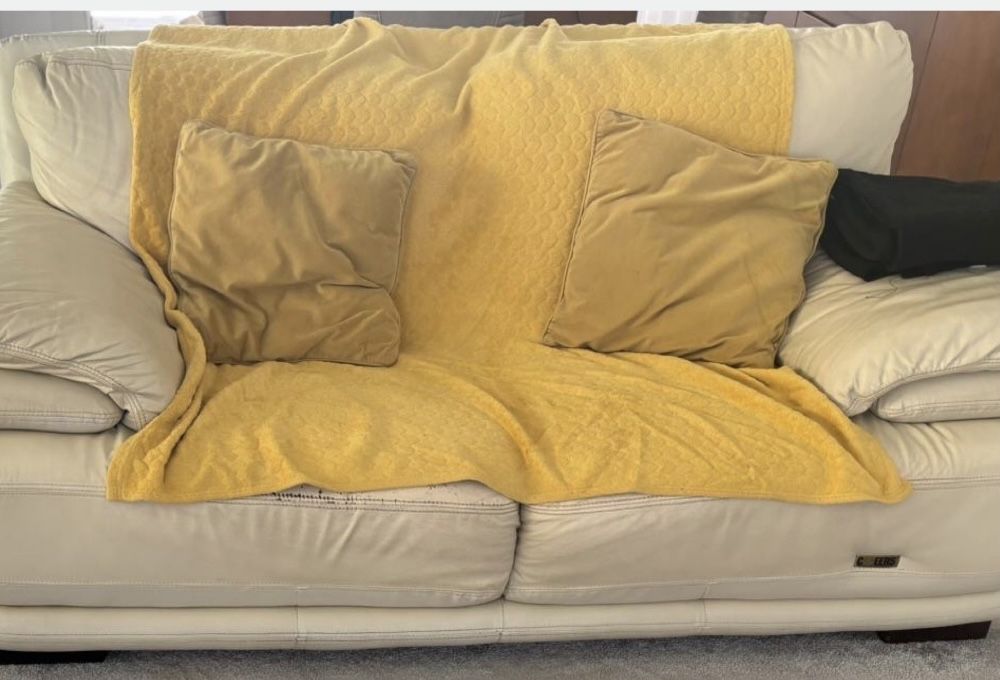 Sofa em pele 2 lugares