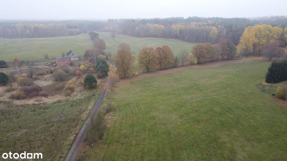 Działki budowlane w miejscowości Mosina gm. Witnica