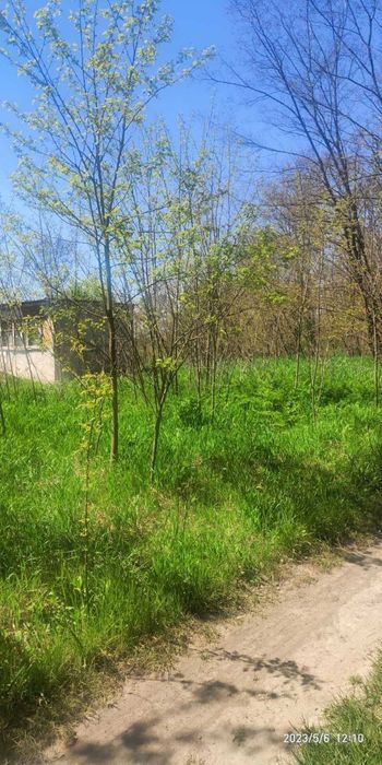 Участок 12 соток