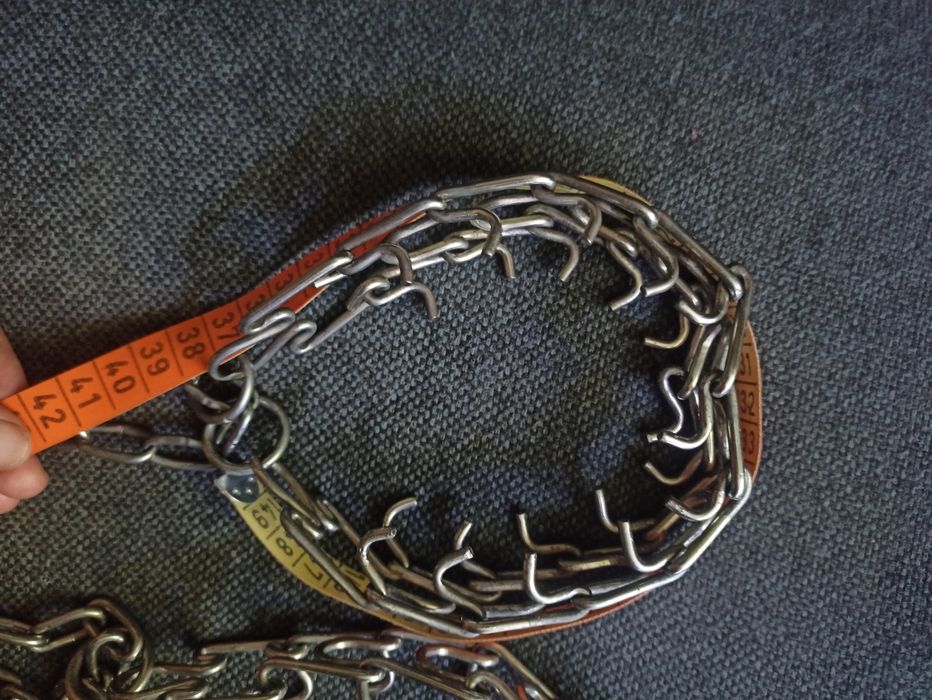 Строгий ошийник для собаки