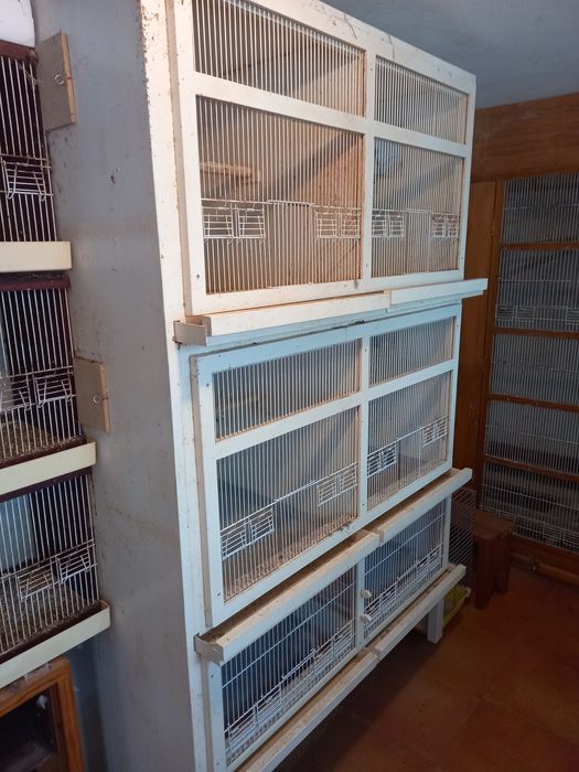 Vendo vários tipos de gaiolas