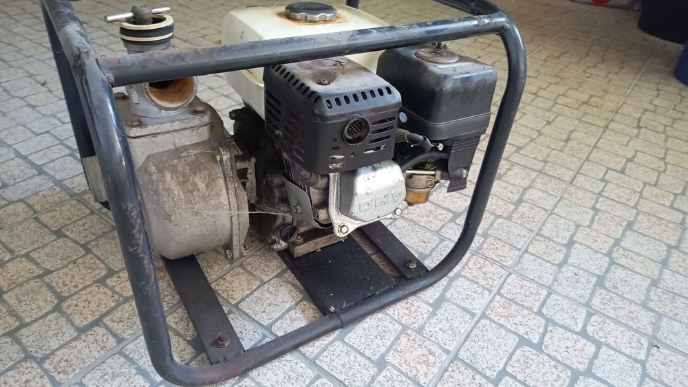 Bomba de água portátil de alta capacidade, ideal para rega e drenagem.