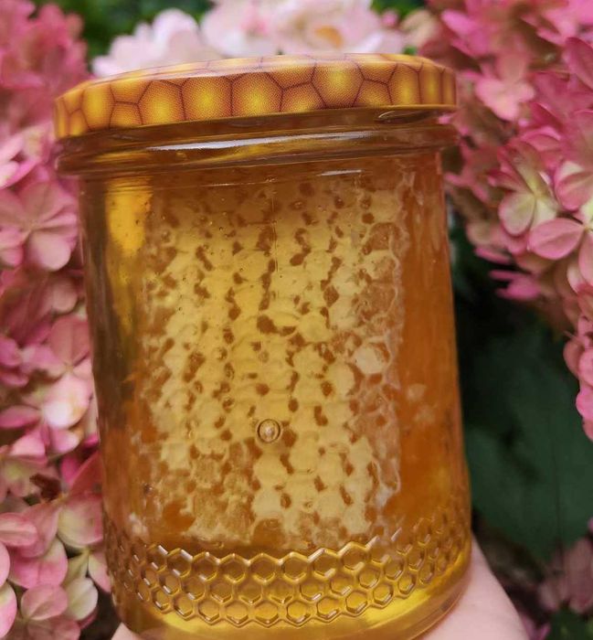 Plaster miodu w miodzie winobluszczowo - lipowym 500g