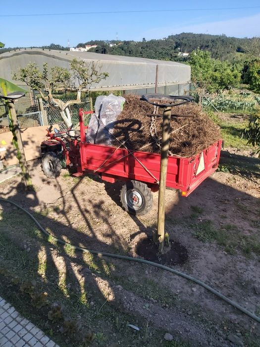 Motocultivador a gasóleo