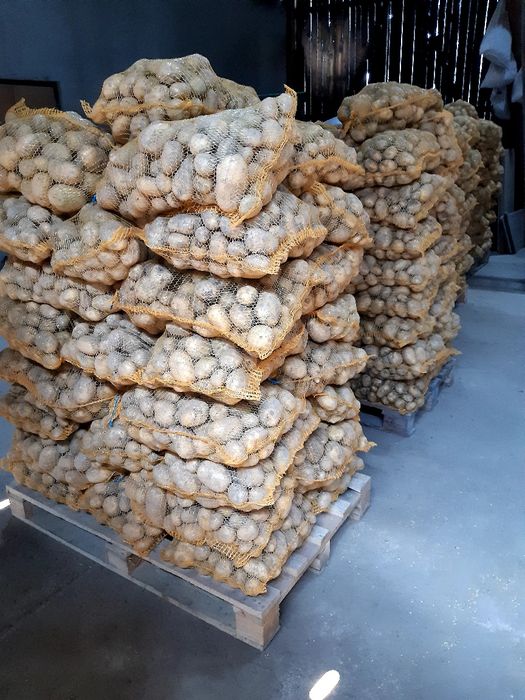 Ziemniaki jadalne hurt detal dowóz