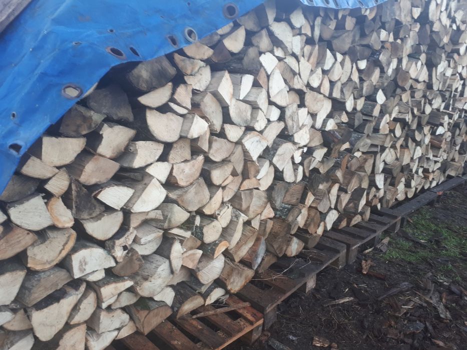 Drewno opałowe  połupane.