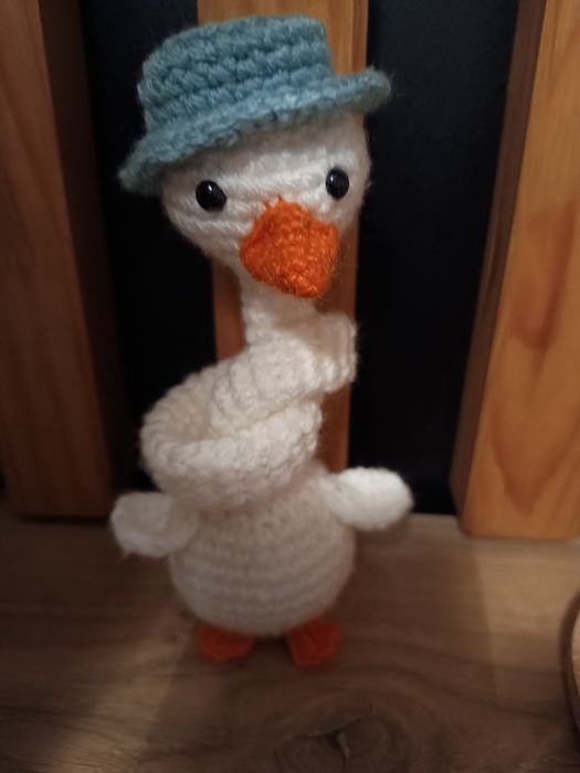 Gęś z długą szyją