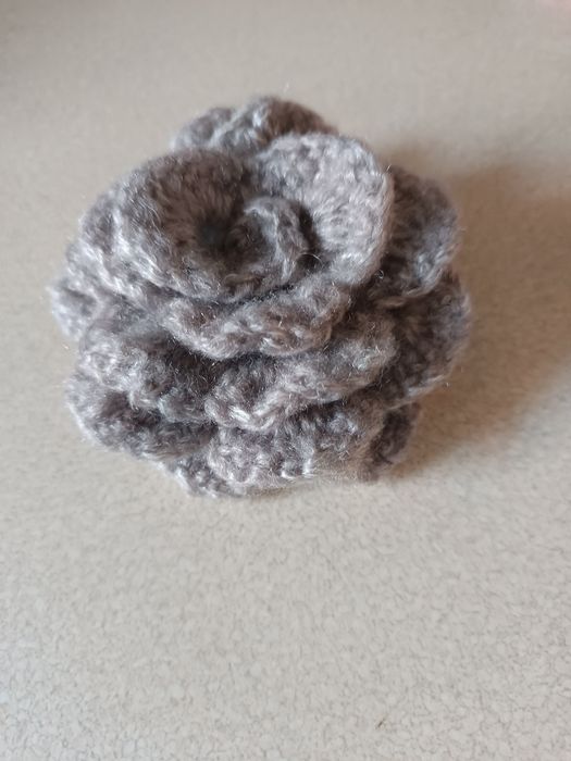 Róże różne kolory różyczki kwiatki