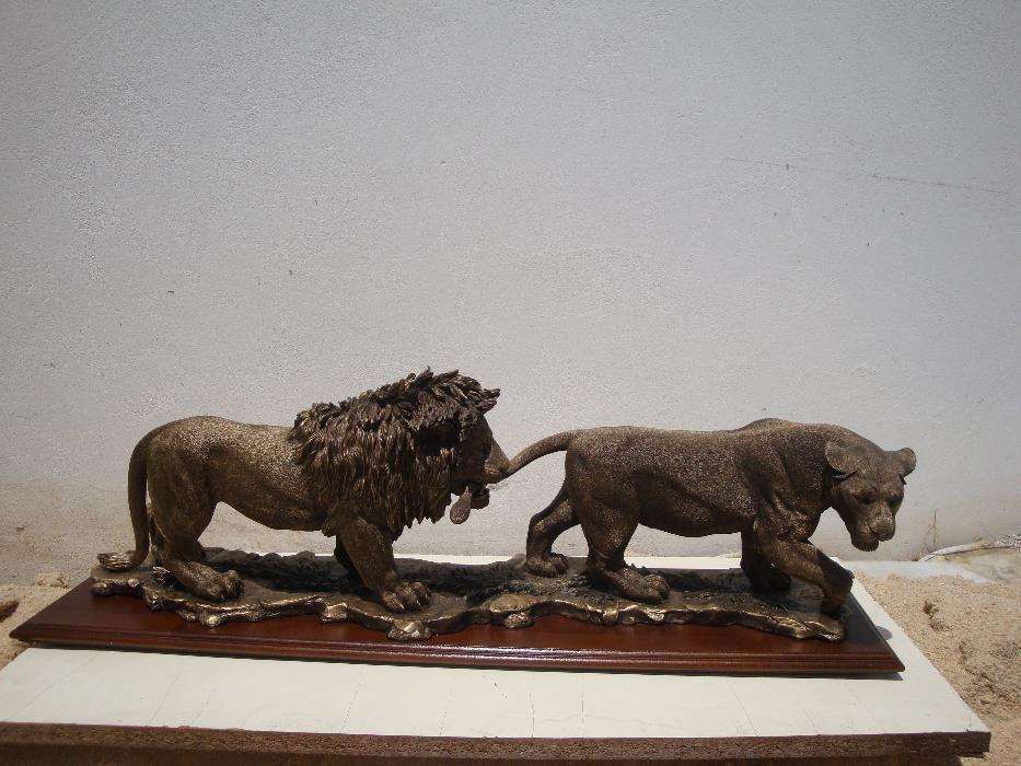 Casal dos leões dourados