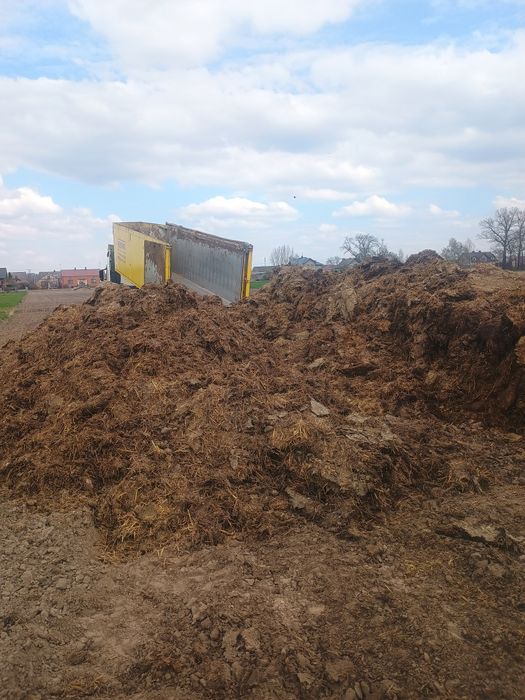 Obornik kurzy duża ilość