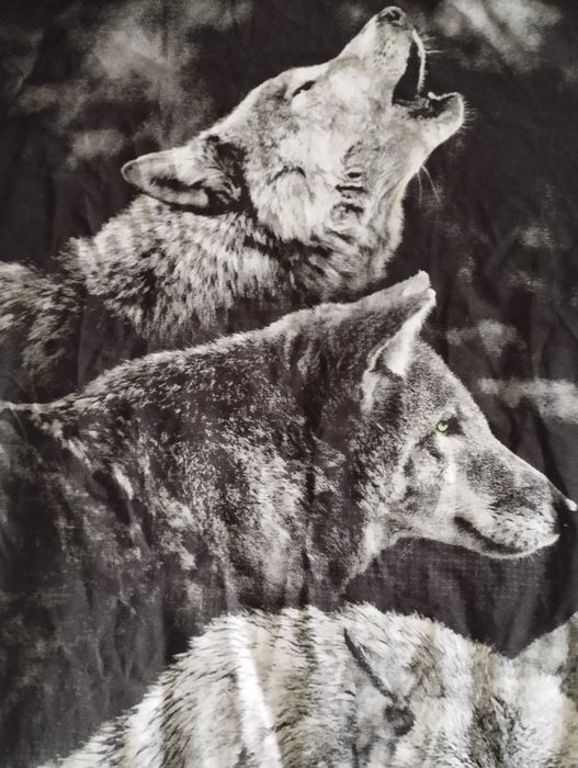 Фирменная футболка на парня подростка размер М с волками