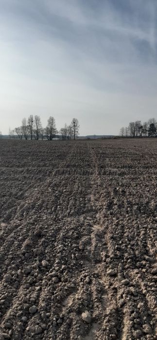 Продам землю 162 соткі