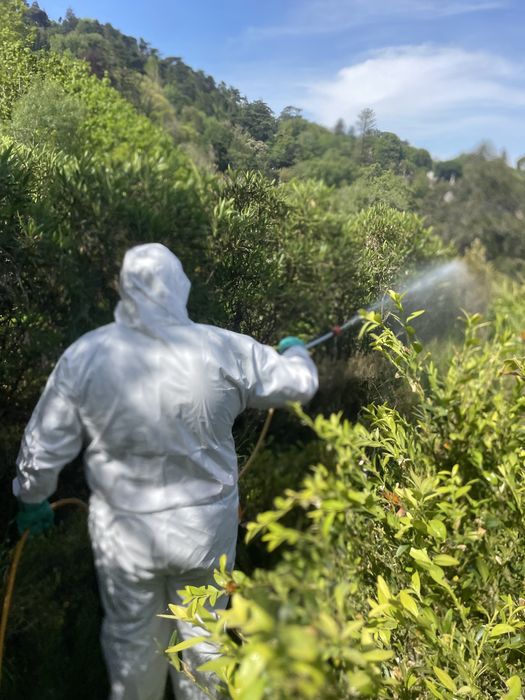 Jardineiro Aplicador de Insectsidas autorizado