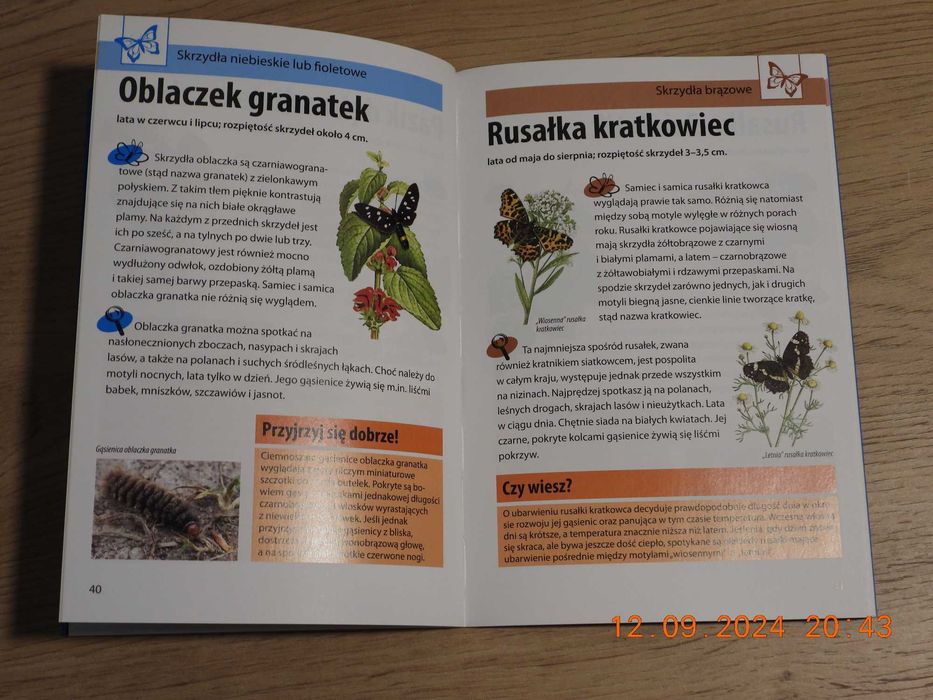 Mój pierwszy przewodnik Jaki to motyl? H.M. Garbarczyk JAK NOWA