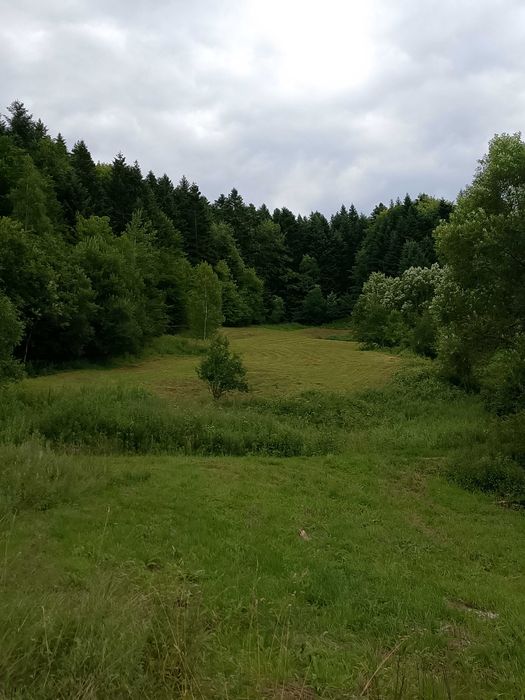 Działka Zawóz . - Widok 3