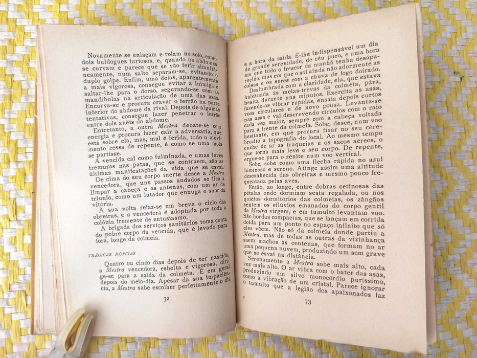 UM POVO MIÚDO - As abelhas – Eduardo Sousa D'Almeida