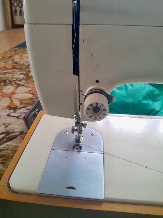 Швейна Машка Чайка