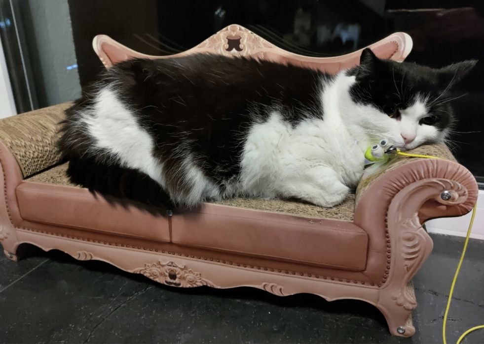 Duży drapak sofa dla kota legowisko tekturowe XL