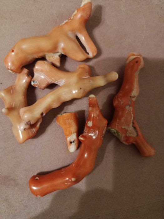 Кораллы вес 132гр