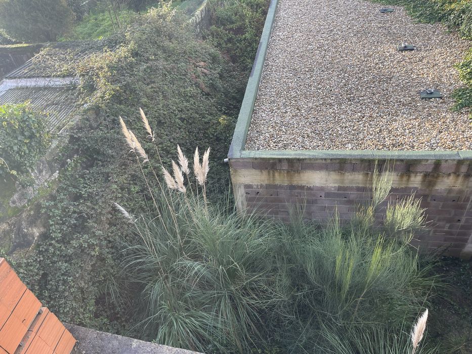 Trabalhos com minigiratoria