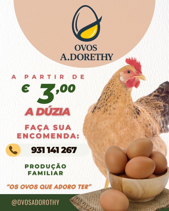 Ovos caseiro de galinhas criadas soltas