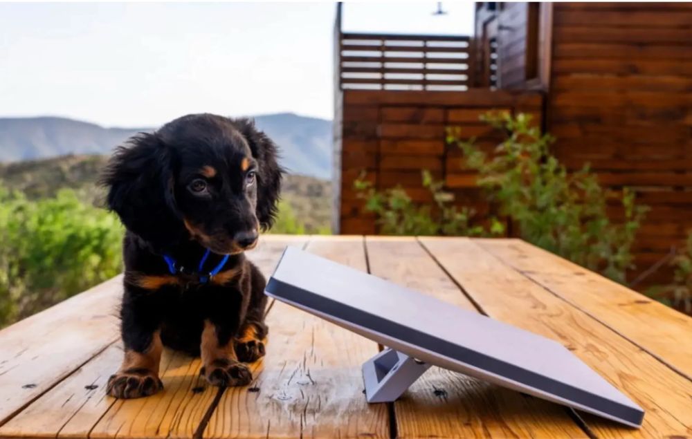 Супутниковий модем SpaceX Starlink Mini Kit