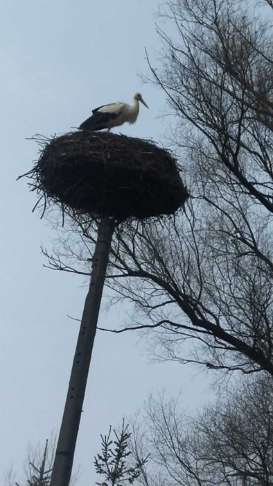 Wynajmę domek 6-ścio-osobowy