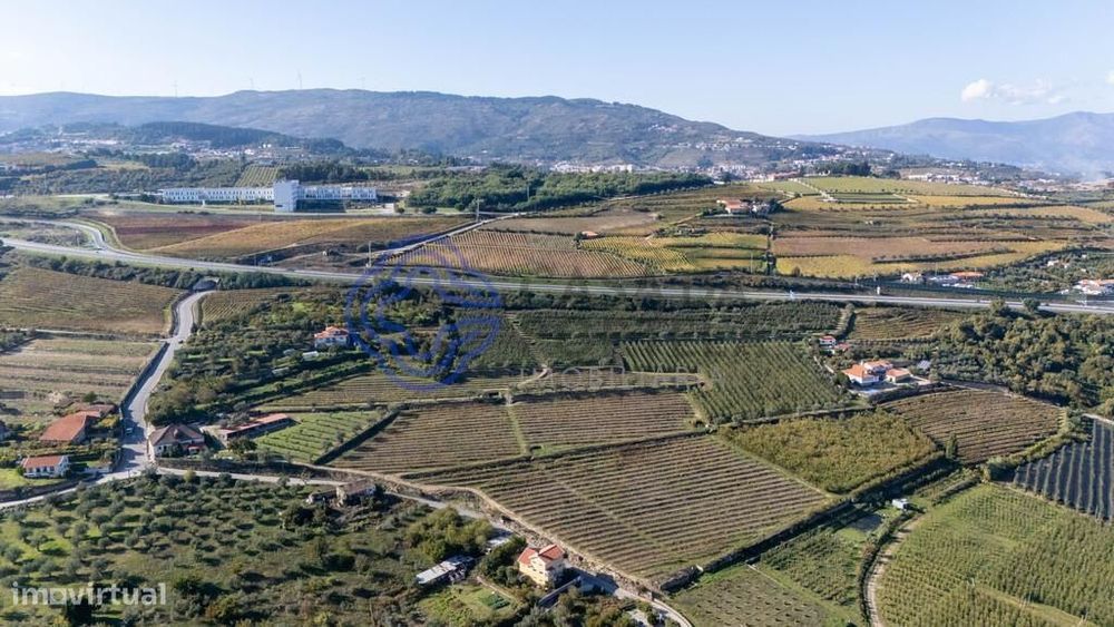Quinta da Varanda em Lamego