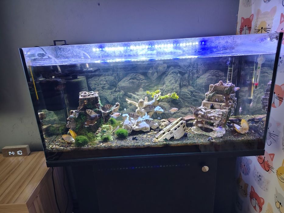 Akwarium 120 litrów