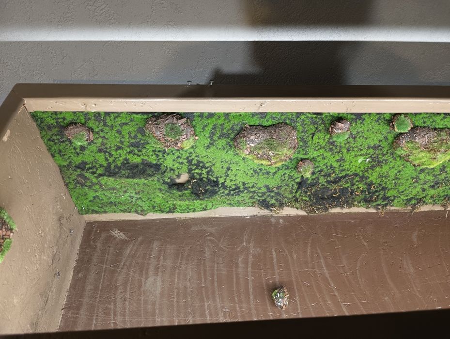 Terrarium dla żówia/ innego gada