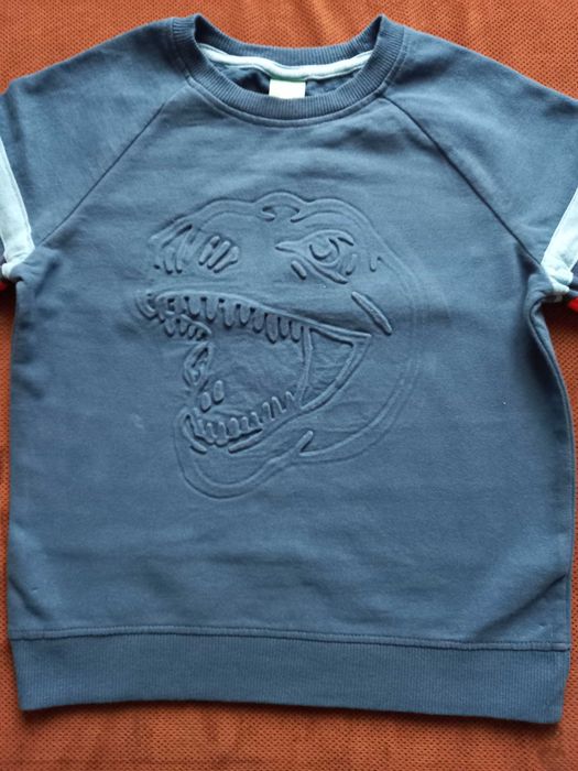 Bluza chłopięca z dinozaurem, r. 134